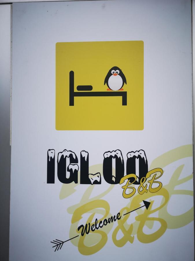 L'Igloo B&B Sedico Exteriör bild